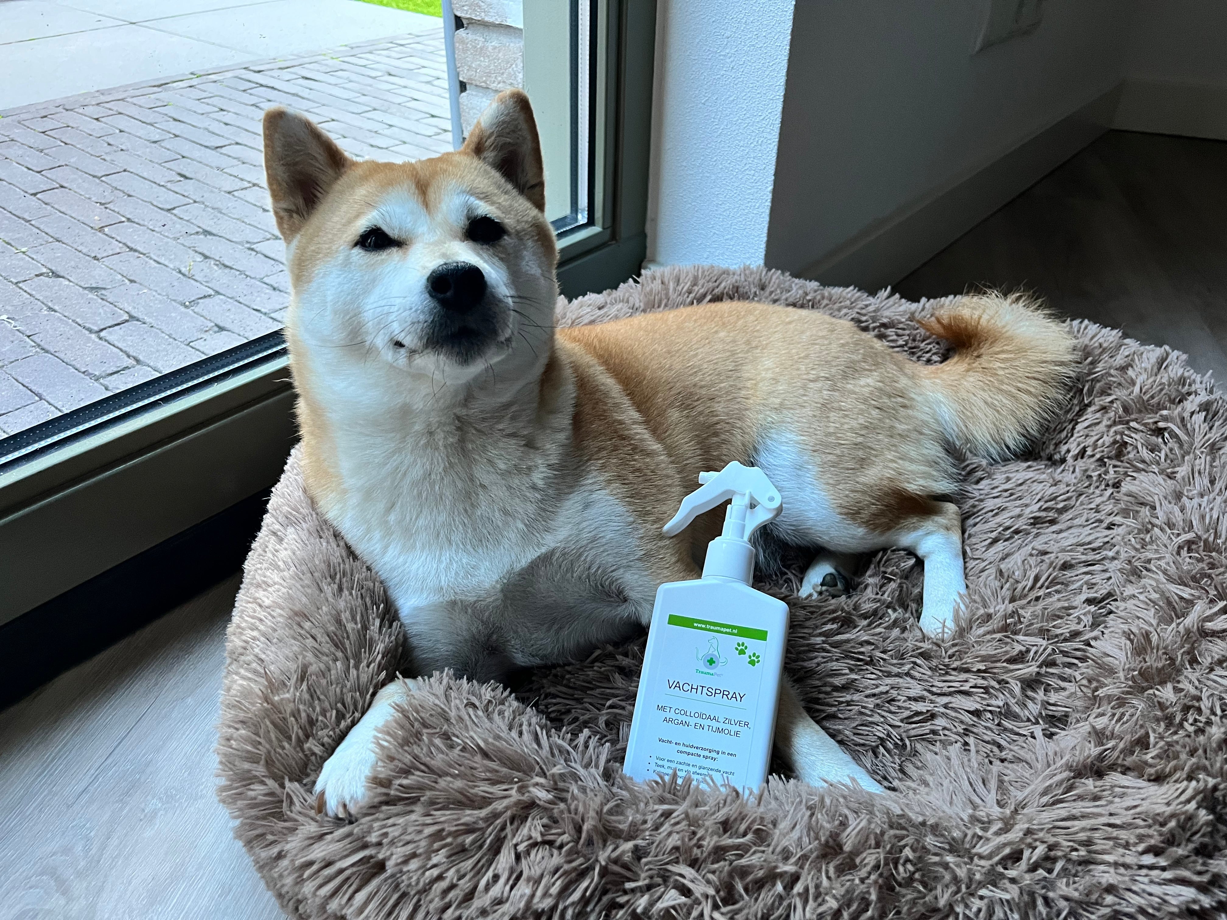 TraumaPet Fellspray mit kolloidalem Silber