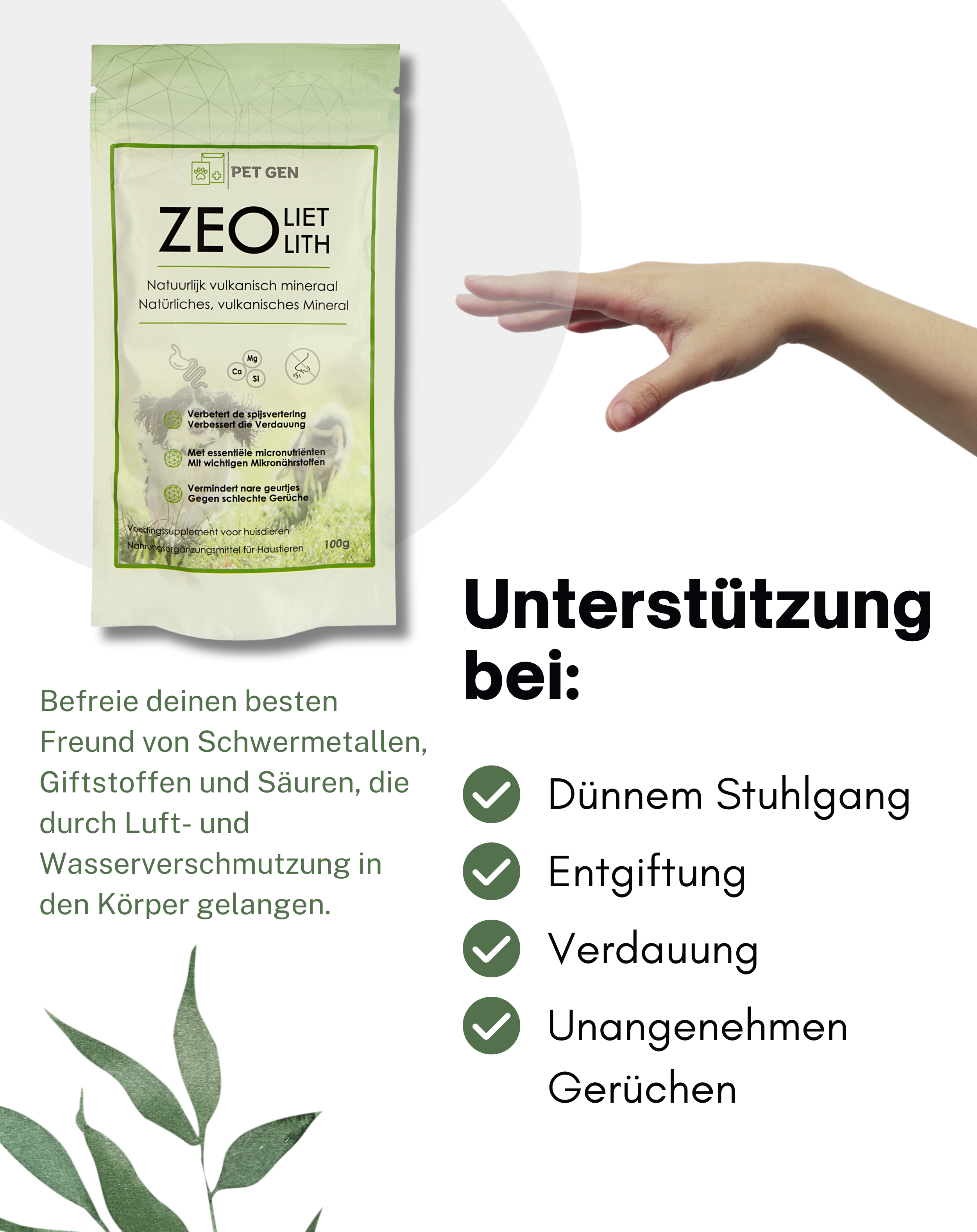 Zeolith