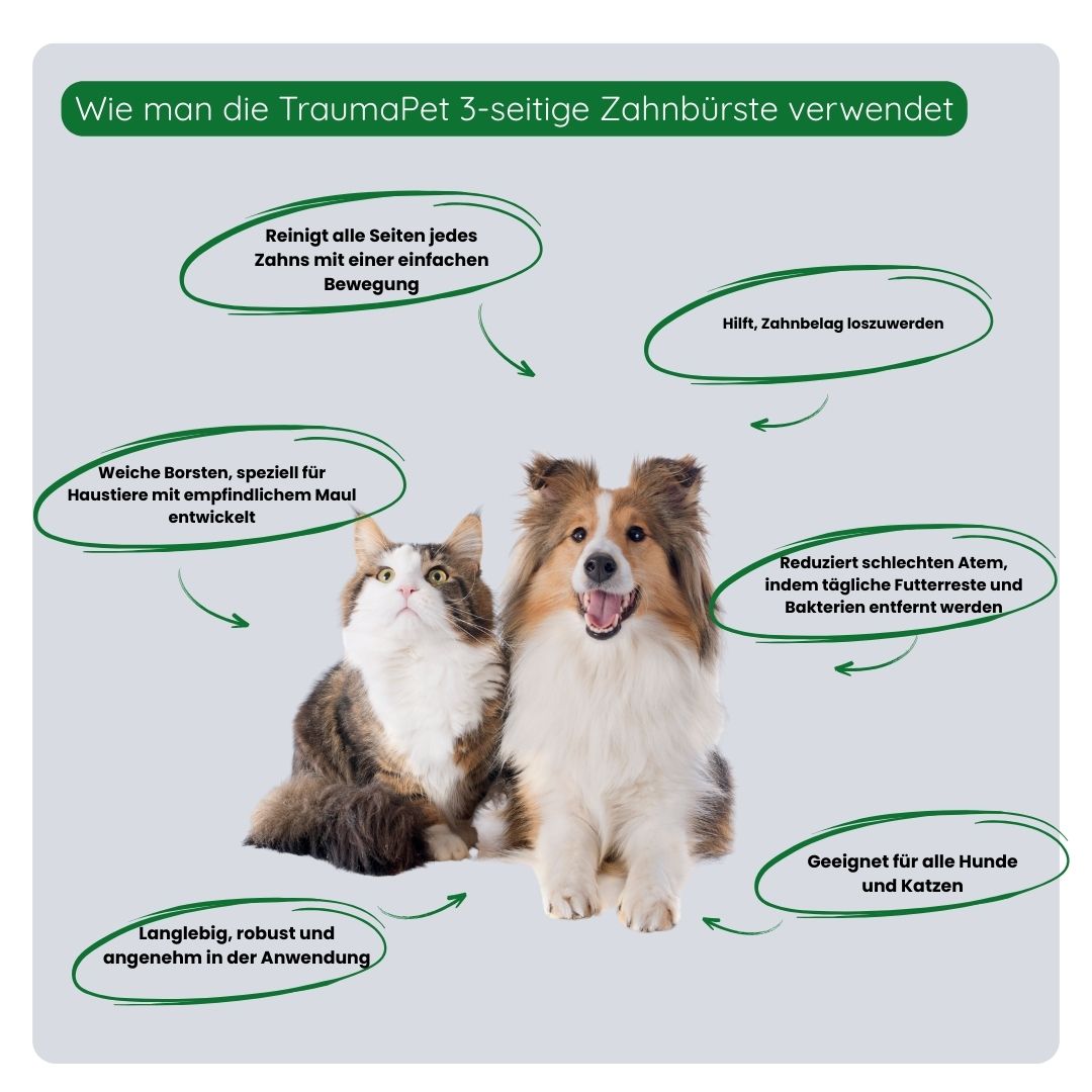 Übersicht der Vorteile der 3-seitigen Zahnbürste: reinigt drei Seiten gleichzeitig, spart Zeit, ist sanft zum Zahnfleisch und ideal für die tägliche Mundpflege.