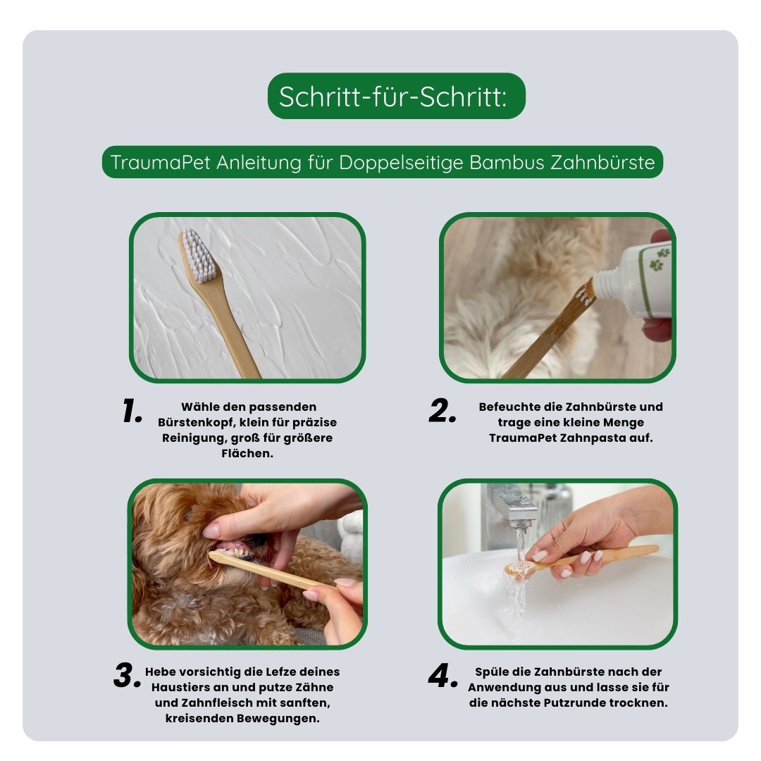Schritt-für-Schritt-Anleitung zur korrekten Anwendung der Bambus-Doppelzahnbürste: Haustier an die Zahnbürste gewöhnen, Zahnbürste richtig positionieren und ruhig putzen für optimale Mundgesundheit.