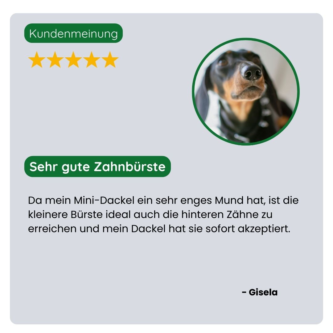 Kundin/Kunde teilt positive Erfahrungen mit der TraumaPet Bambus-Doppelzahnbürste: bessere Erreichbarkeit, angenehmes Putzen und sichtbar sauberere Zähne beim Haustier.