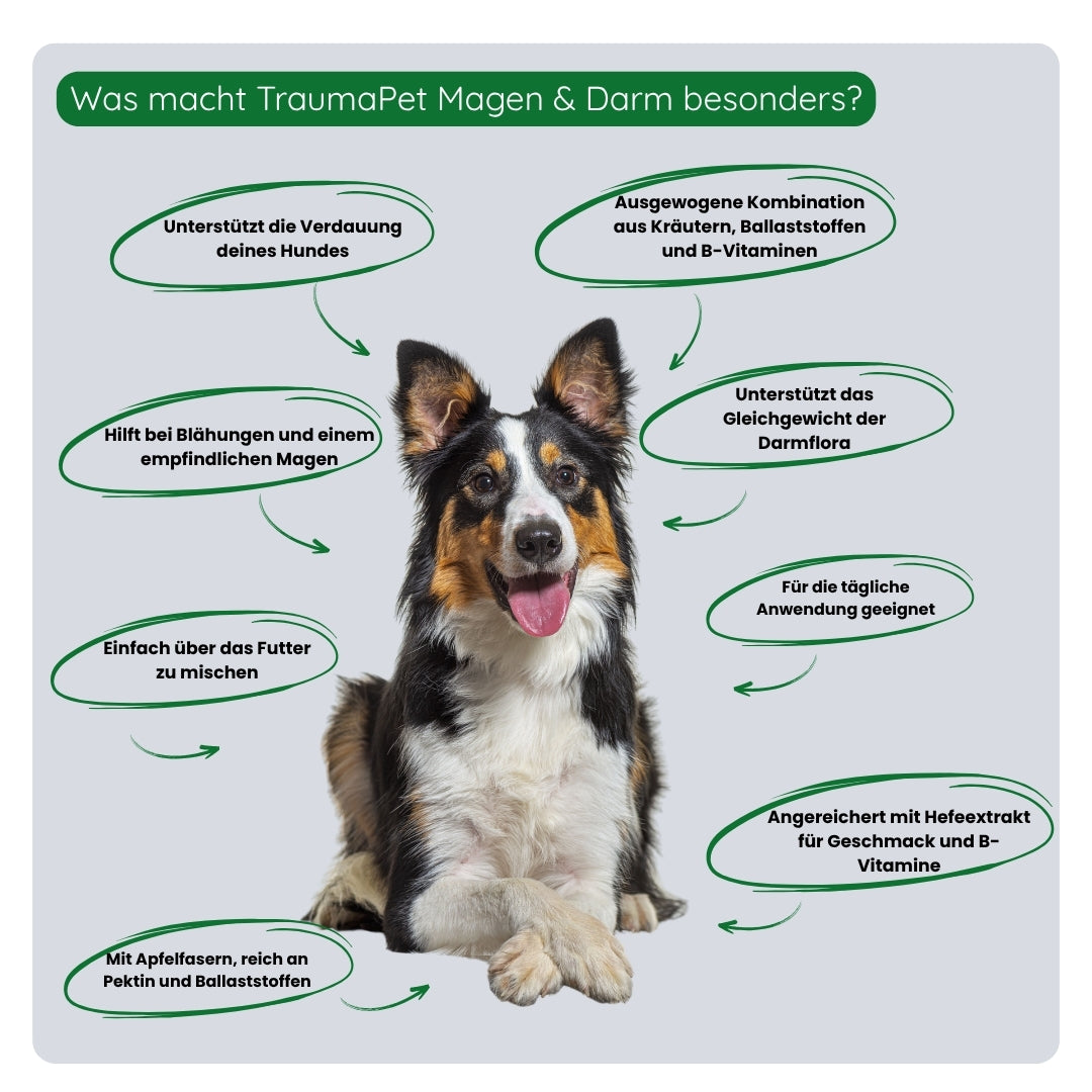 Anwendung von TraumaPet Botanicals Magen & Darm durch Mischen mit dem Futter für die tägliche Unterstützung
