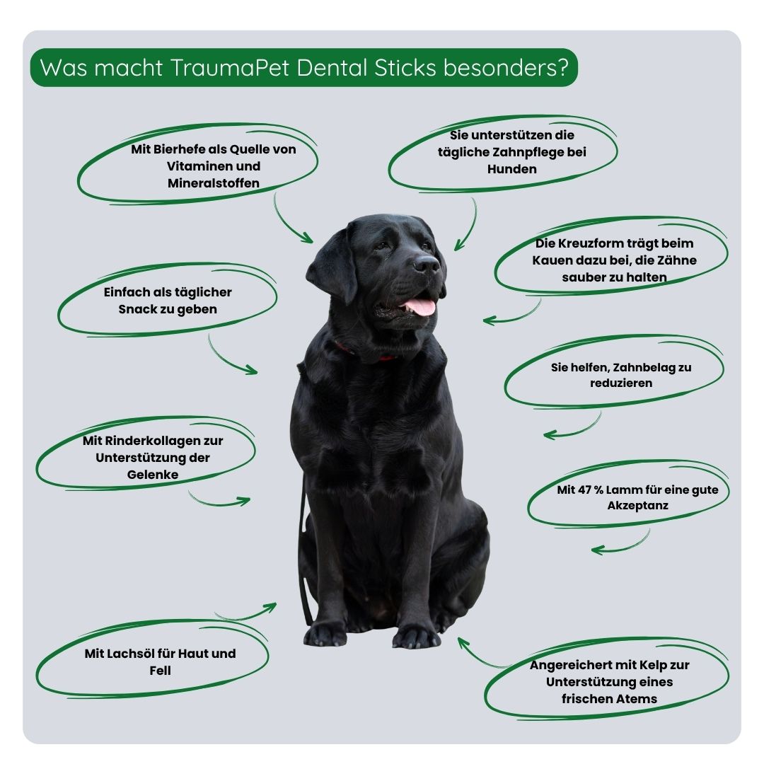 Schritt-für-Schritt-Anleitung zur Anwendung von TraumaPet Dental Sticks — täglich als Snack geben, richtige Menge je nach Gewicht beachten und mit weiterer Zahnpflege kombinieren für optimale Ergebnisse.