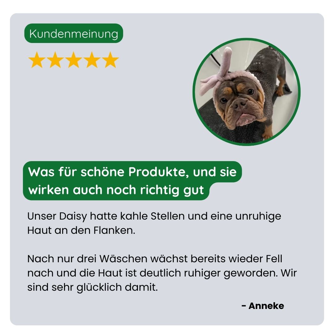 Kunde teilt positive Erfahrung mit dem TraumaPet Fellpflege-Set: weniger Haarverlust, frischeres Fell und sichtbar mehr Wohlbefinden bei seinem Haustier.