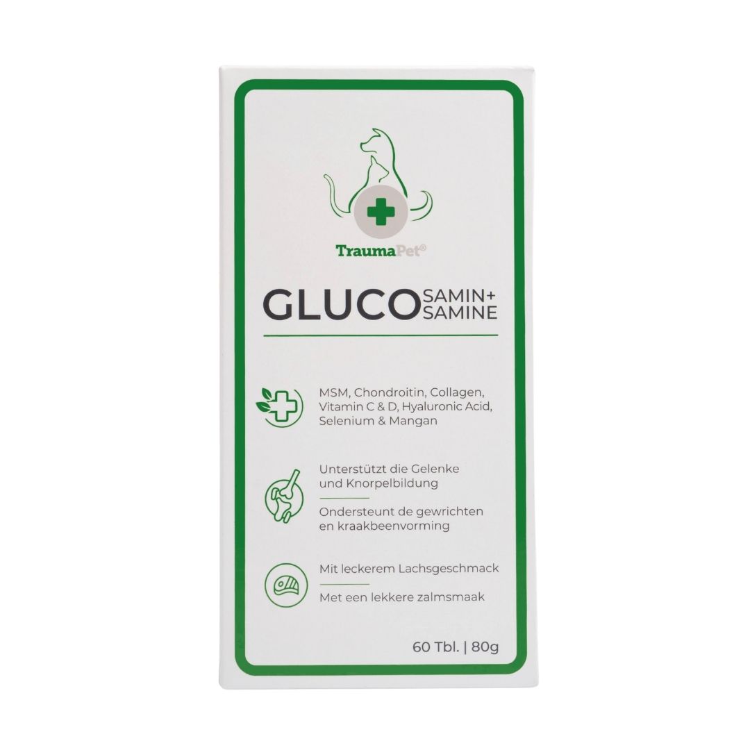 Hund und Katze mit geschmeidiger Bewegung nach der Anwendung von TraumaPet Glucosamin+. Unterstützt Gelenke, Knorpel und Mobilität bei aktiven und älteren Haustieren.