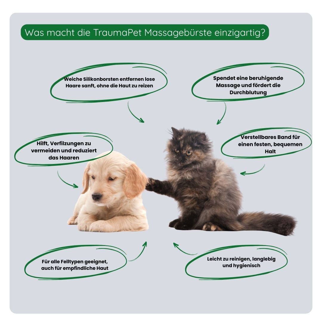 Übersicht der Vorteile der TraumaPet Massagebürste: sanfte Massage, fördert die Durchblutung, entfernt lose Haare, beugt Verfilzungen vor und geeignet für empfindliche Haut.