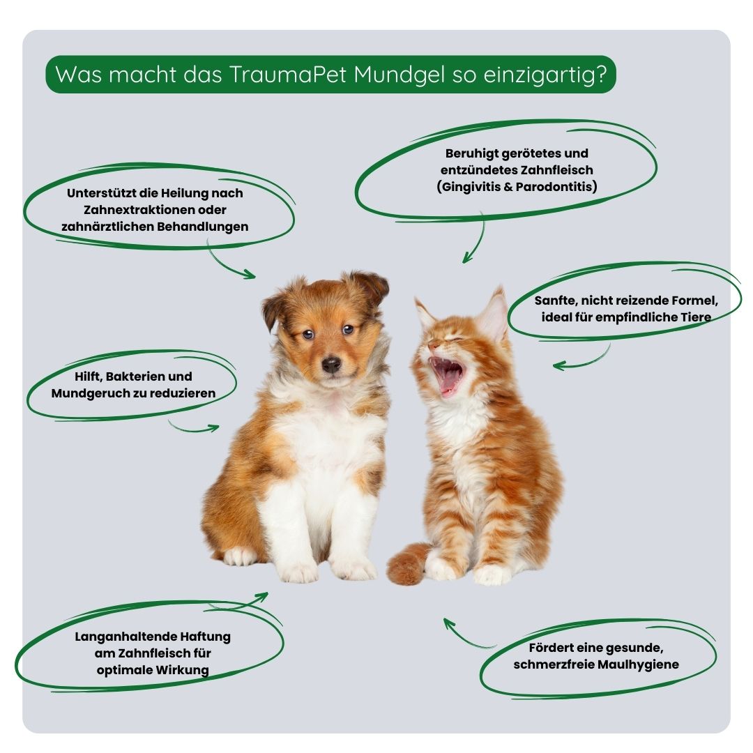 Übersicht der Vorteile des TraumaPet Mundgels: beruhigt das Zahnfleisch, unterstützt die Regeneration, hilft das Bakterienwachstum zu reduzieren und fördert eine gesunde Maulflora.