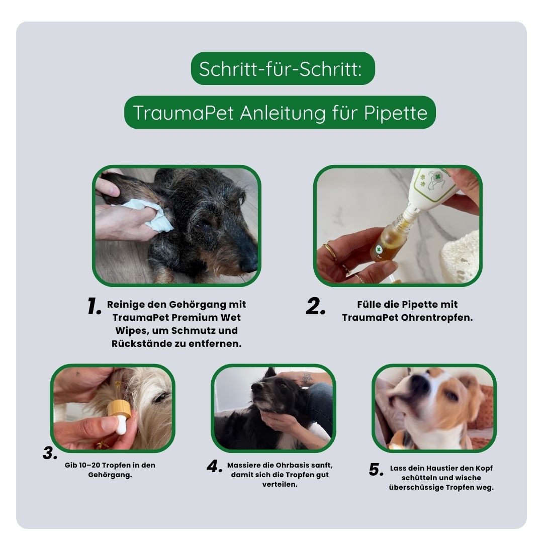 Schritt-für-Schritt-Anleitung zur korrekten Anwendung der TraumaPet Pipette: Pipette befüllen, Ohr öffnen, Tropfen verabreichen und den Bereich unter dem Ohr sanft massieren.
