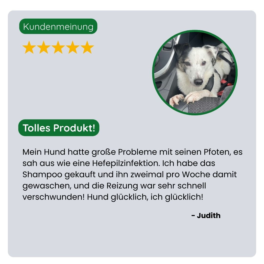 Kundin teilt ihre positive Erfahrung mit dem TraumaPet Shampoo, weniger Juckreiz, weniger Hautirritationen und ein sichtbar frischeres, gesünderes Fell.