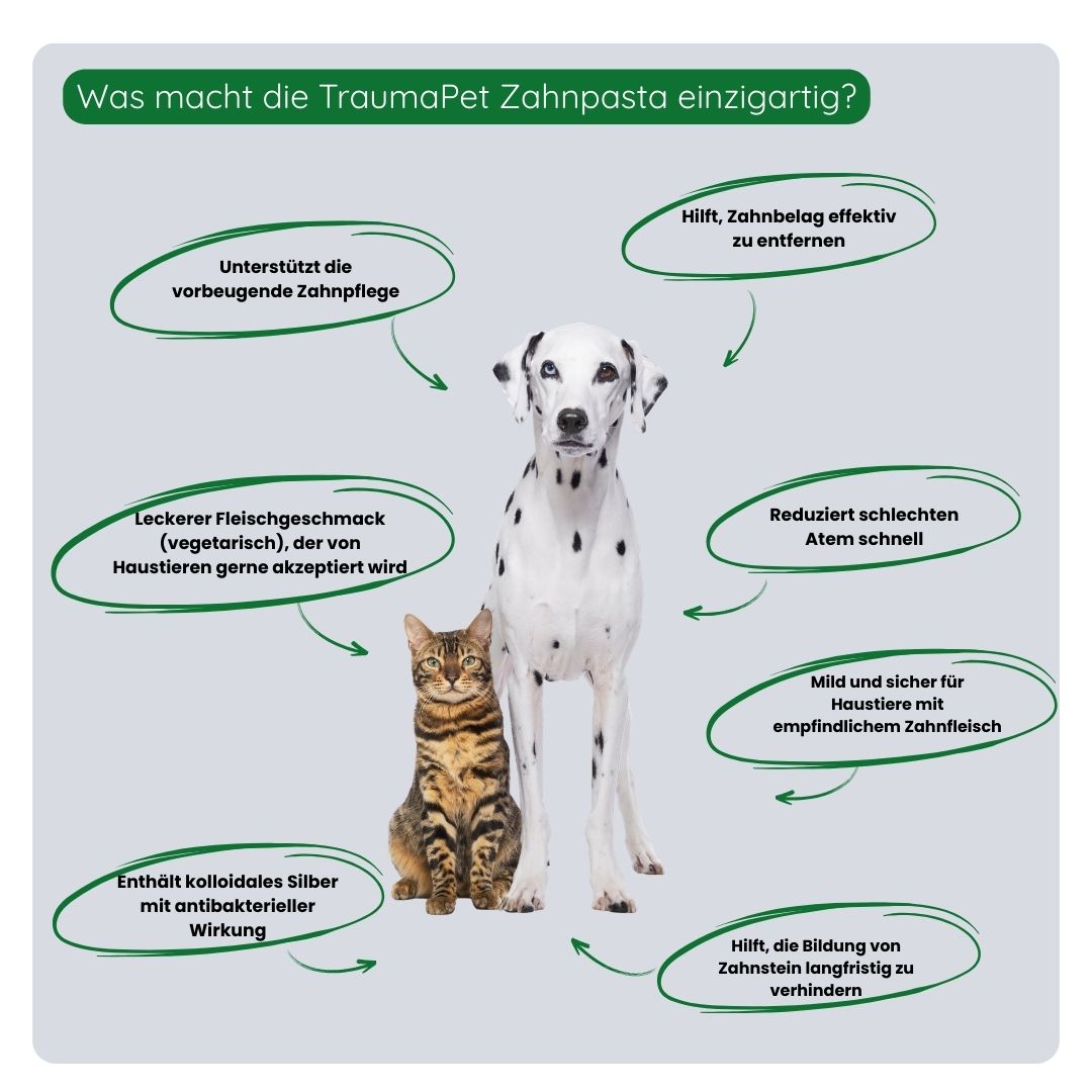 Übersicht der Vorteile der TraumaPet Zahnpasta: entfernt Zahnbelag, beugt Zahnstein vor, unterstützt gesundes Zahnfleisch und sorgt für frischen Atem.