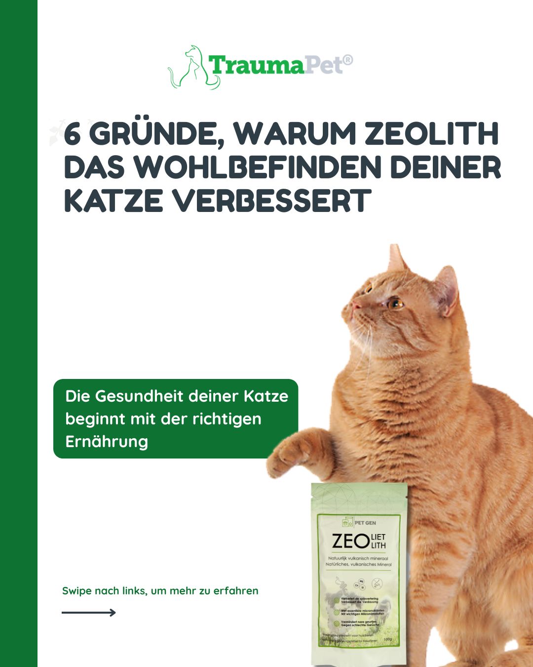 „6 Gründe, warum Zeolith das Wohlbefinden deiner Katze verbessert“ — natürliche Unterstützung für Verdauung, Detox und die allgemeine Gesundheit von Katzen.