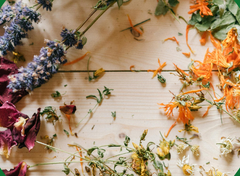 Botanicals