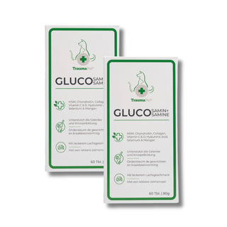 Glucosamin+ Duopack