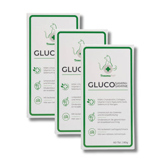Glucosamin+ Vorteilspack