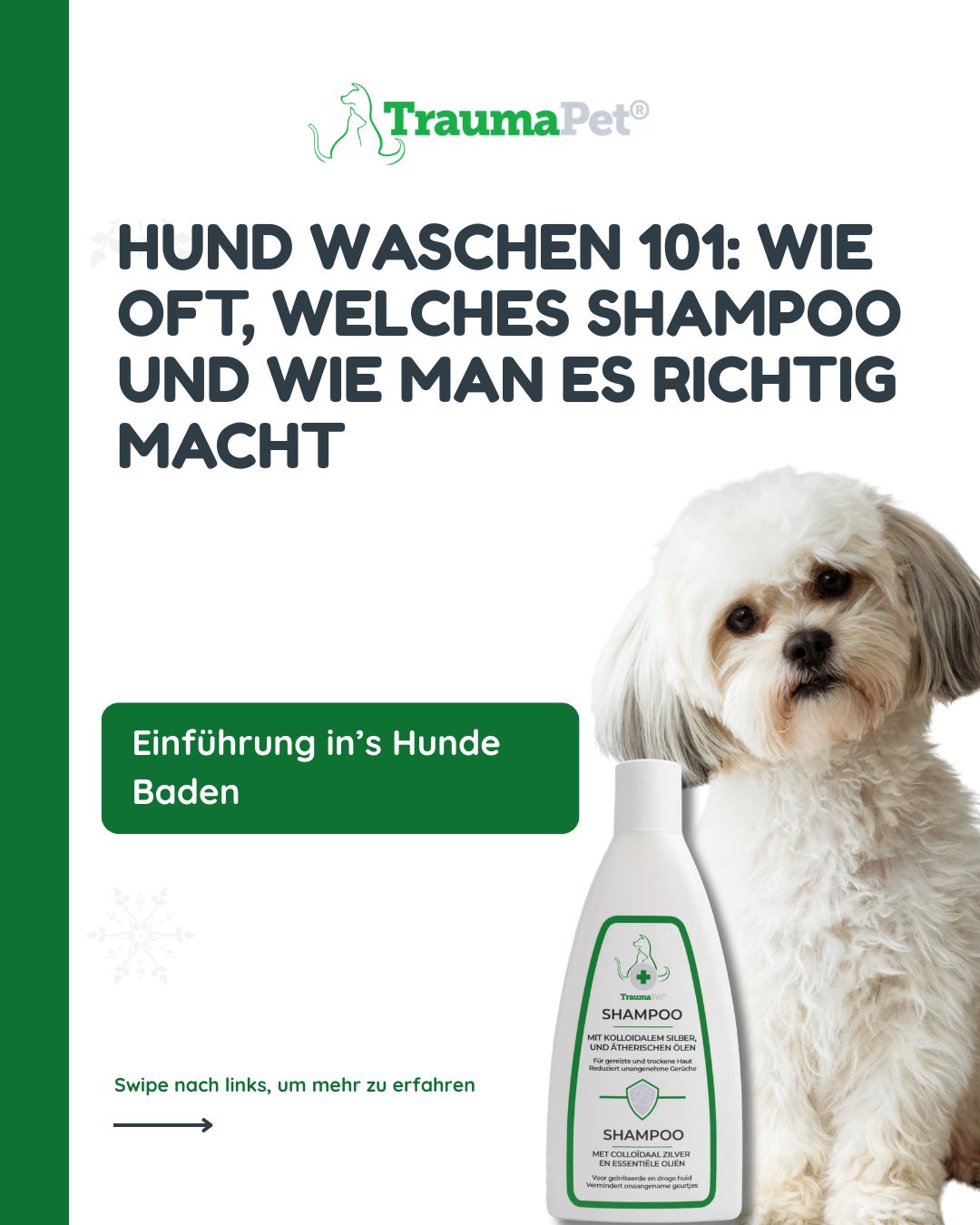 „Dog Bathing 101“ — wie oft du deinen Hund wäschst, welches Shampoo du verwendest und wie du einen Hund sicher und richtig wäschst, ohne die Haut zu reizen.