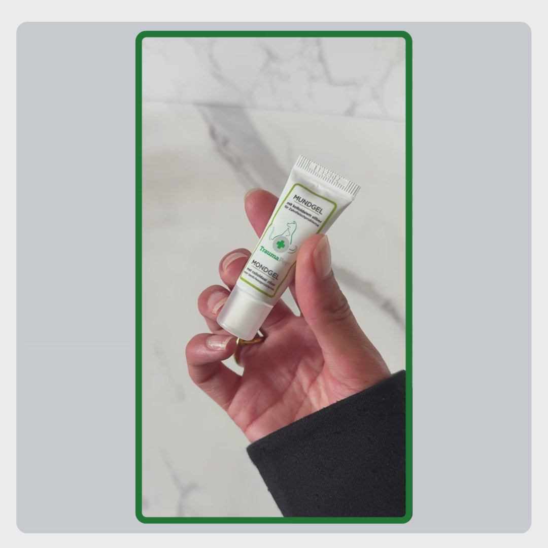 Video mit Erklärung zur Anwendung des TraumaPet Mundgels, Gel vorsichtig auf Zahnfleisch oder wunden Maulsbereich auftragen und ein- bis zweimal täglich wiederholen.