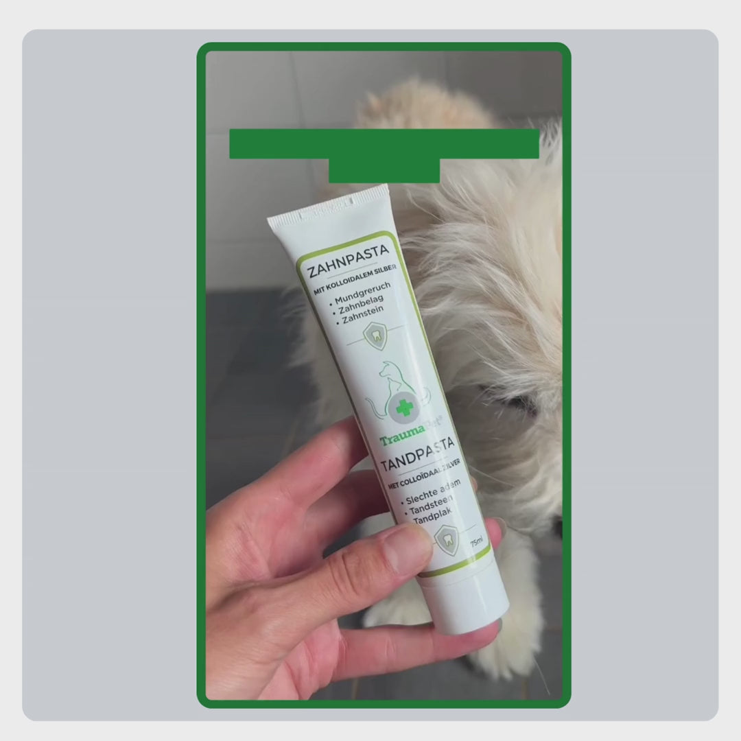 Video mit Erklärung zur Anwendung der TraumaPet Zahnpasta: Zahnpasta auf die Bürste auftragen, sanft putzen und regelmäßig wiederholen für eine optimale Maulgesundheit.