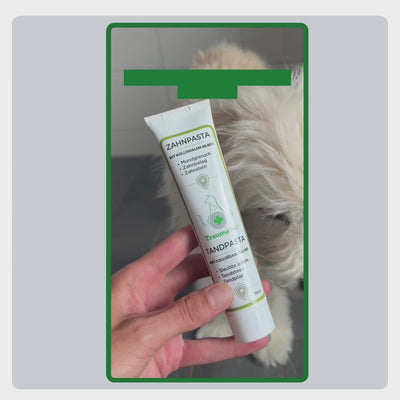 Video mit Erklärung zur Anwendung der TraumaPet Zahnpasta: Zahnpasta auf die Bürste auftragen, sanft putzen und regelmäßig wiederholen für eine optimale Maulgesundheit.