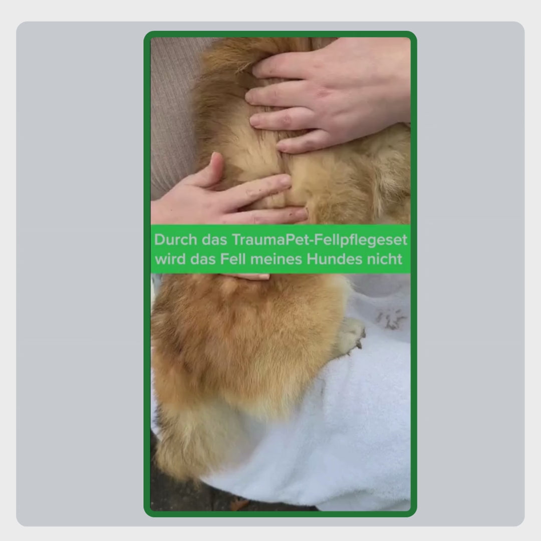 Video mit Erklärung zur Anwendung des Fellpflege-Sets: Waschen mit Shampoo, Schutz mit Fellspray und Pflege mit der Massagebürste.