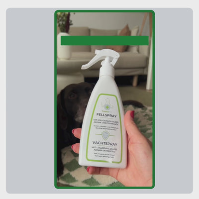 Video zur Anwendung des TraumaPet Fellsprays, gleichmäßig über das Fell sprühen, besonders vor Spaziergängen.