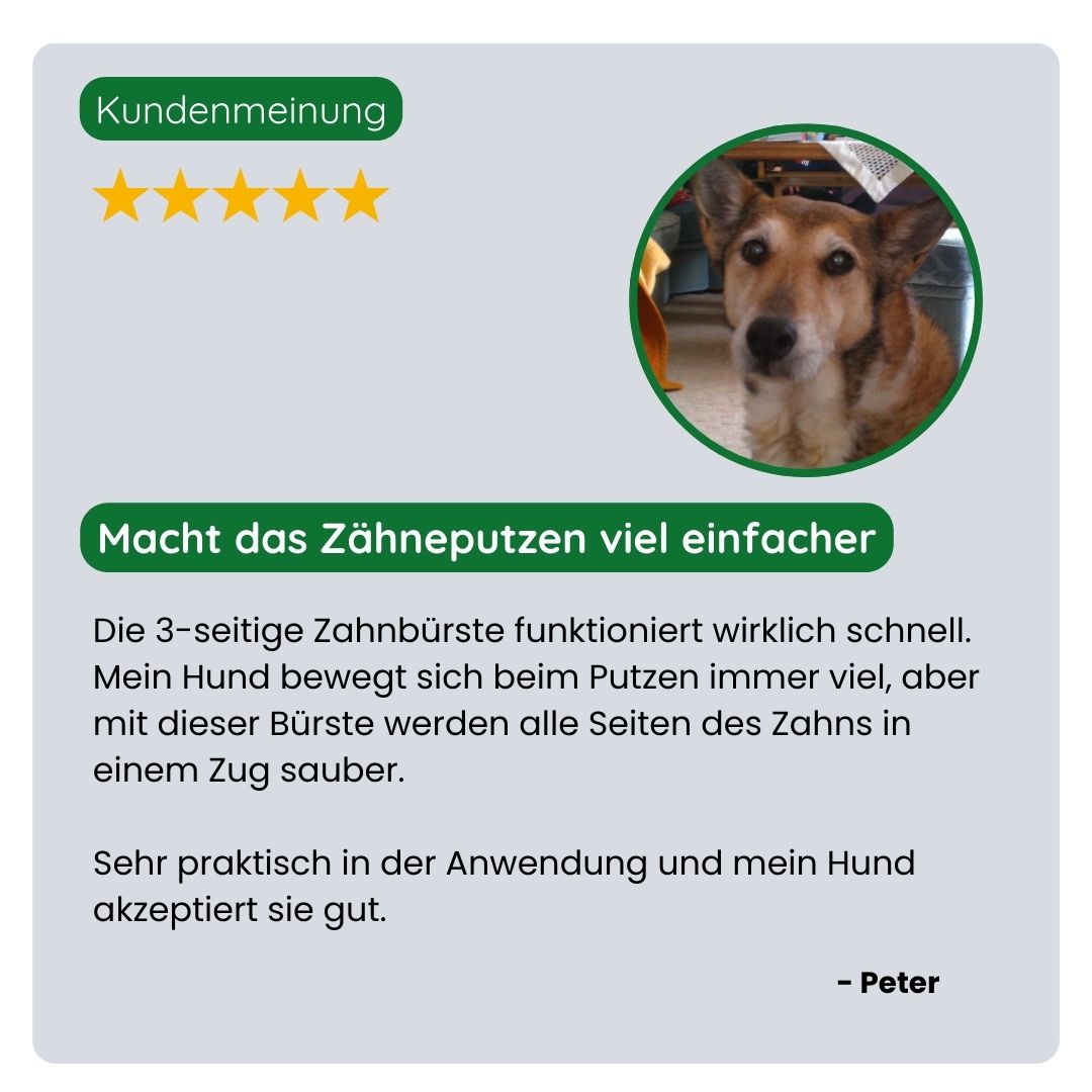 Kundin/Kunde teilt positive Erfahrungen mit der TraumaPet 3-seitigen Zahnbürste: schnelleres Zähneputzen, weniger Stress und sichtbar sauberere Zähne beim Haustier.