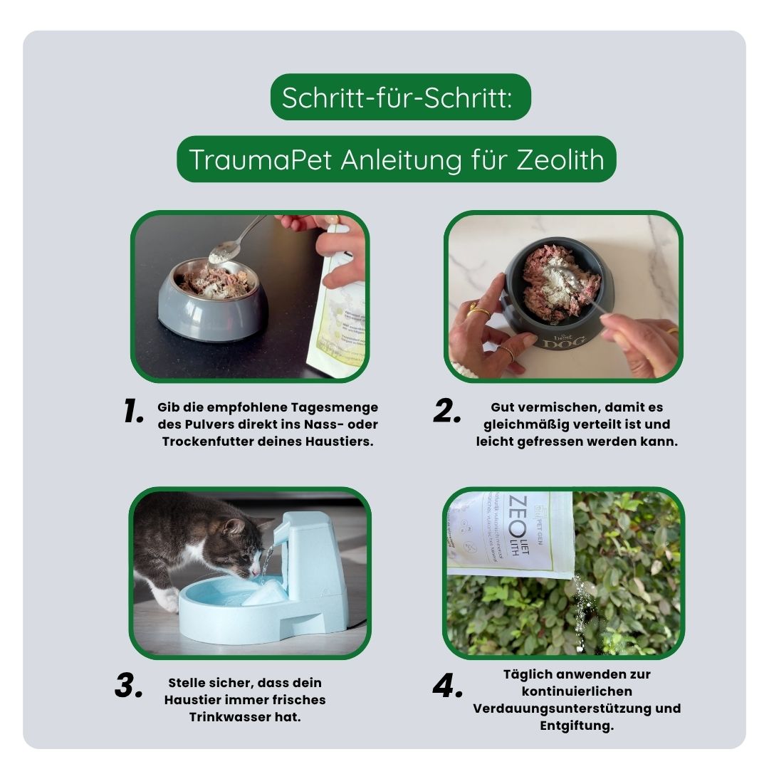 Anwendung des TraumaPet Anti-Juckreiz Sets: Pfoten mit täglicher Reinigung und Pflege für gesunde Pfoten