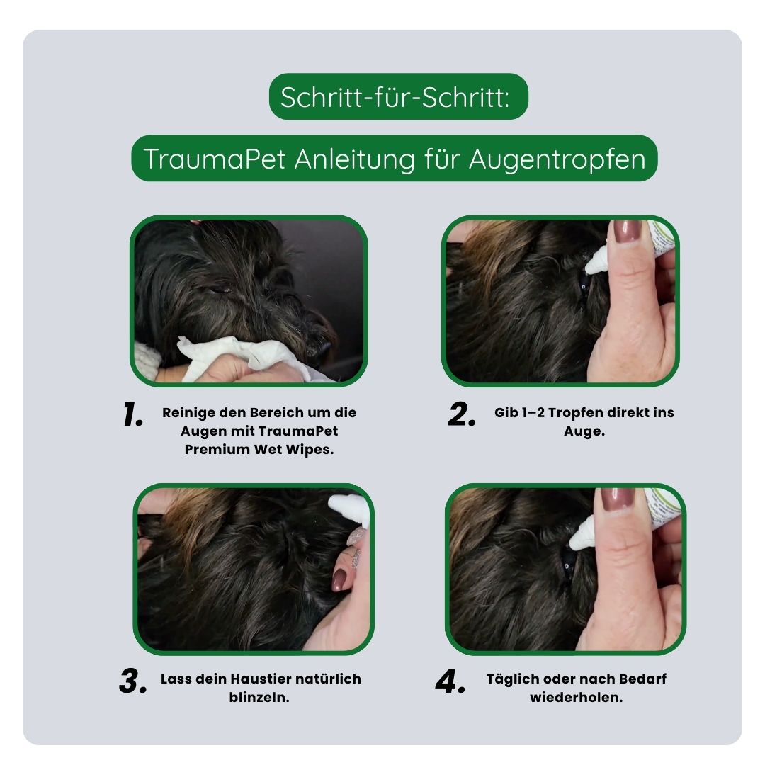 Erklärung zur korrekten Anwendung der TraumaPet Augentropfen: Bereich um das Auge reinigen, Augenlid anheben und die Tropfen sorgfältig anwenden.