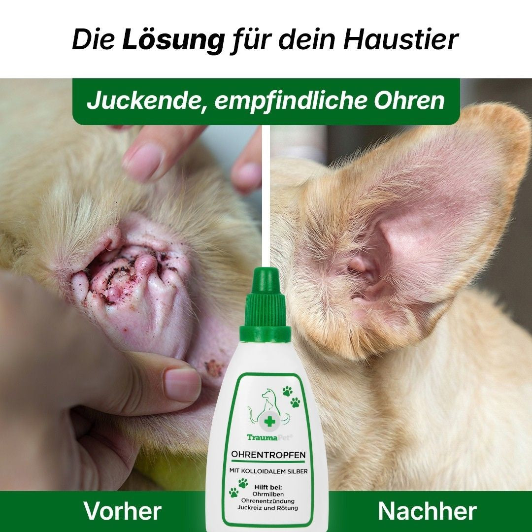 TraumaPet Augentropfen für Hunde und Katzen – Vorher-Nachher bei gereizten und geröteten Augen