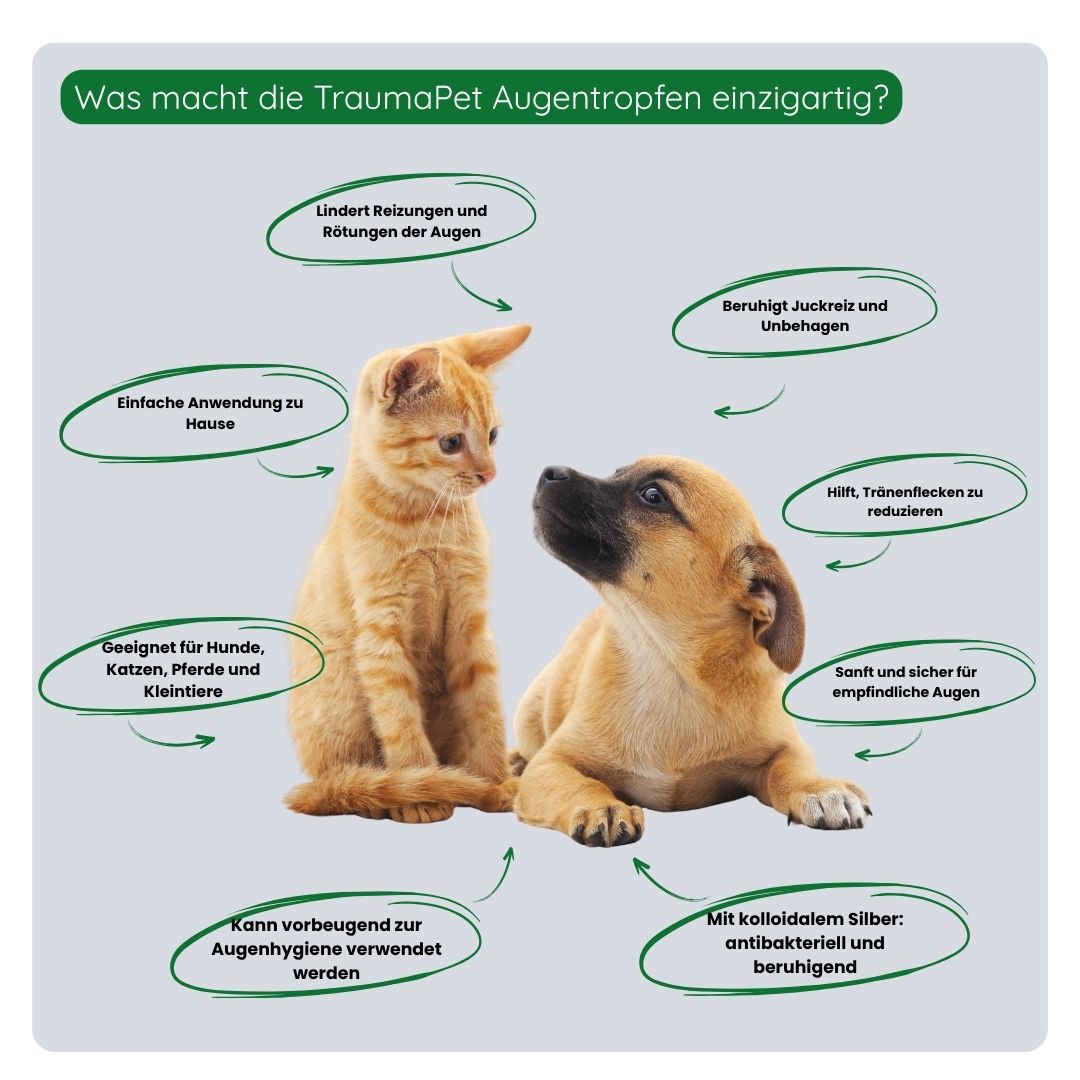 Übersicht der Vorteile der TraumaPet Augentropfen: reduzieren Rötungen, reinigen die Augen, unterstützen die Regeneration und beugen neuen Reizungen bei Haustieren vor.