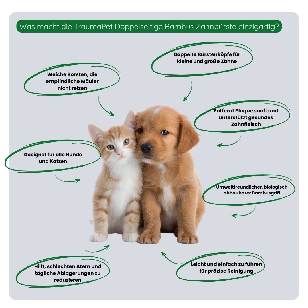 Übersicht der Vorteile der Bambus-Doppelzahnbürste: nachhaltiges Material, zwei Bürstenköpfe für präzises Putzen, sanft zum Zahnfleisch und ideal für den täglichen Gebrauch.