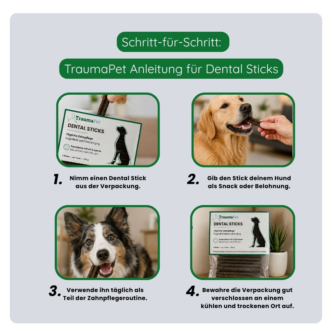 Übersicht der Vorteile von TraumaPet Dental Sticks: hilft Zahnbelag und Zahnstein zu reduzieren, unterstützt gesundes Zahnfleisch, fördert frischen Atem und regt das natürliche Kauverhalten an.