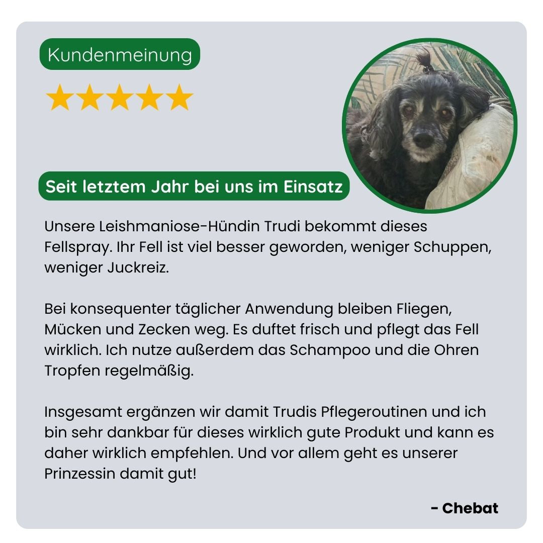 Kundin teilt ihre positive Erfahrung mit dem TraumaPet Fellspray, weniger Juckreiz, weniger Insektenstiche und ein gesünderes Fell.