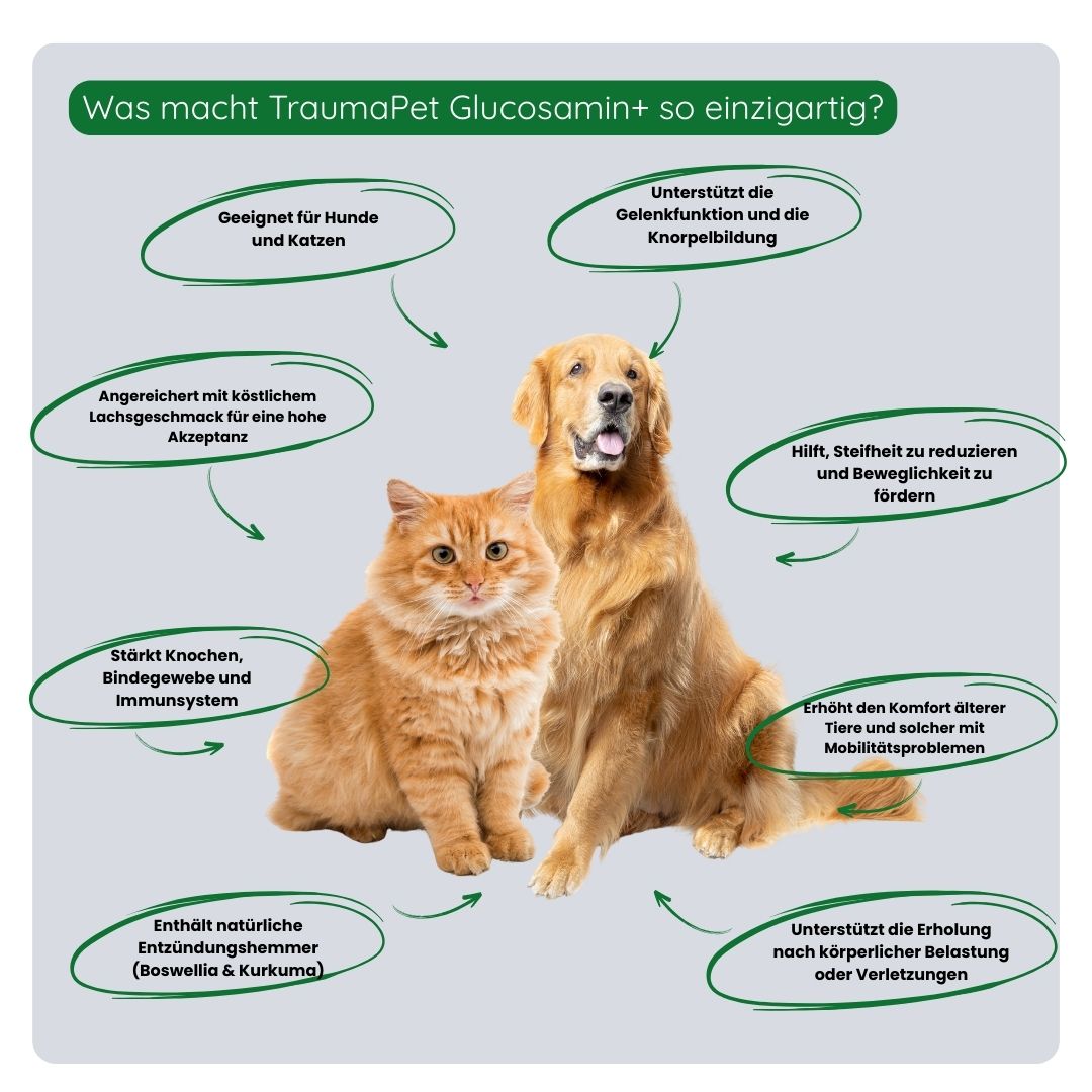 Übersicht der Vorteile von TraumaPet Glucosamin+: unterstützt den Knorpel, fördert geschmeidige Gelenke, reduziert Steifheit und trägt zur täglichen Bewegungsfreiheit bei.