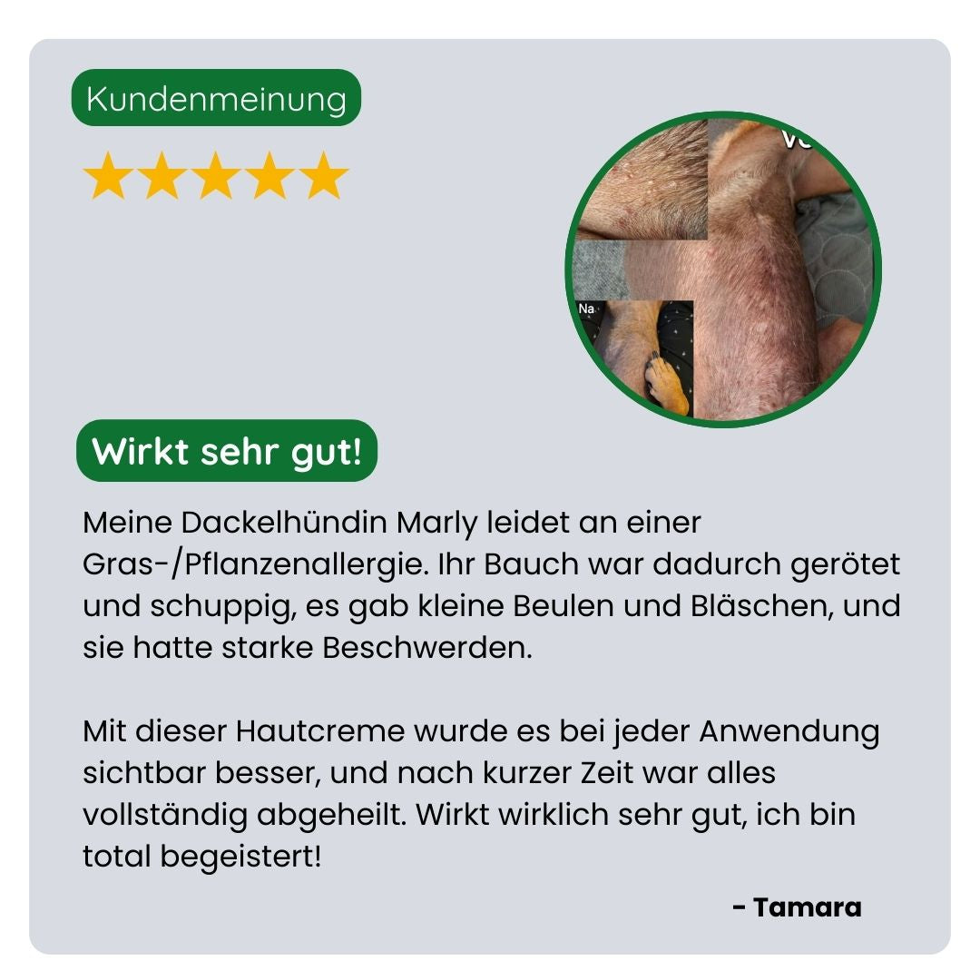 Kundin teilt ihre positive Erfahrung mit der TraumaPet Hautcreme, schnelle Linderung bei Juckreiz, Rötungen und trockener Haut bei ihrem Haustier.