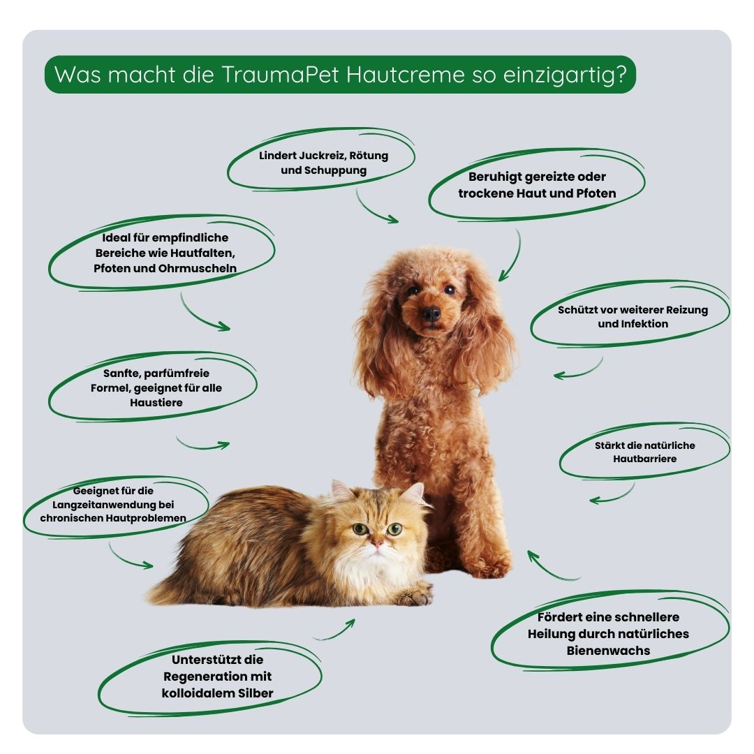 Übersicht der Vorteile der TraumaPet Hautcreme: beruhigt gereizte Haut, reduziert Juckreiz und Rötungen, hydratisiert trockene Stellen und stärkt die Hautbarriere.