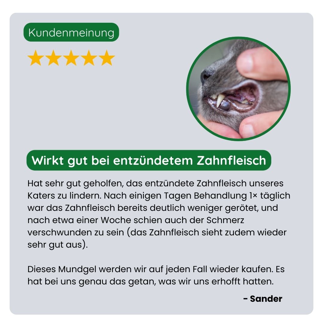 Kundin teilt ihre positive Erfahrung mit dem TraumaPet Mundgel, schnelle Linderung bei gerötetem, schmerzhaftem oder entzündetem Zahnfleisch und eine sichtbar ruhigere Mundhöhle.
