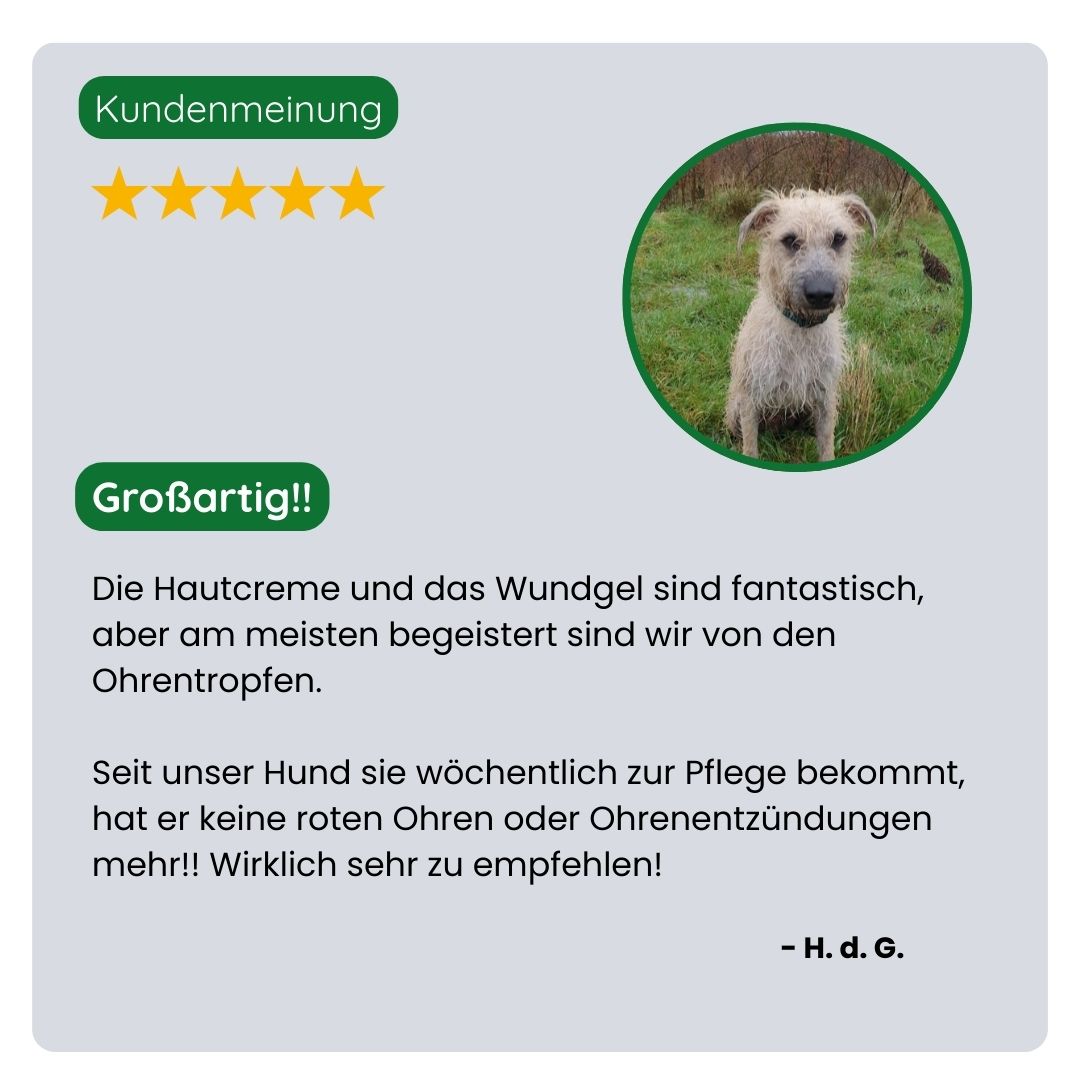 Kundin teilt positive Erfahrungen mit dem TraumaPet Must-have Set. Immer die passende Lösung bei Juckreiz, Rötungen, Reizungen und kleinen Wunden.