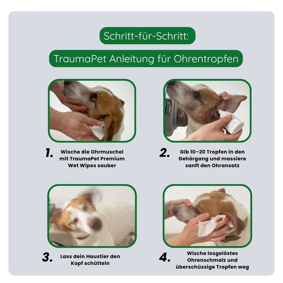 Anwendung des TraumaPet Frühling & Sommer Sets mit täglicher und regelmäßiger Pflegeroutine für optimalen Schutz