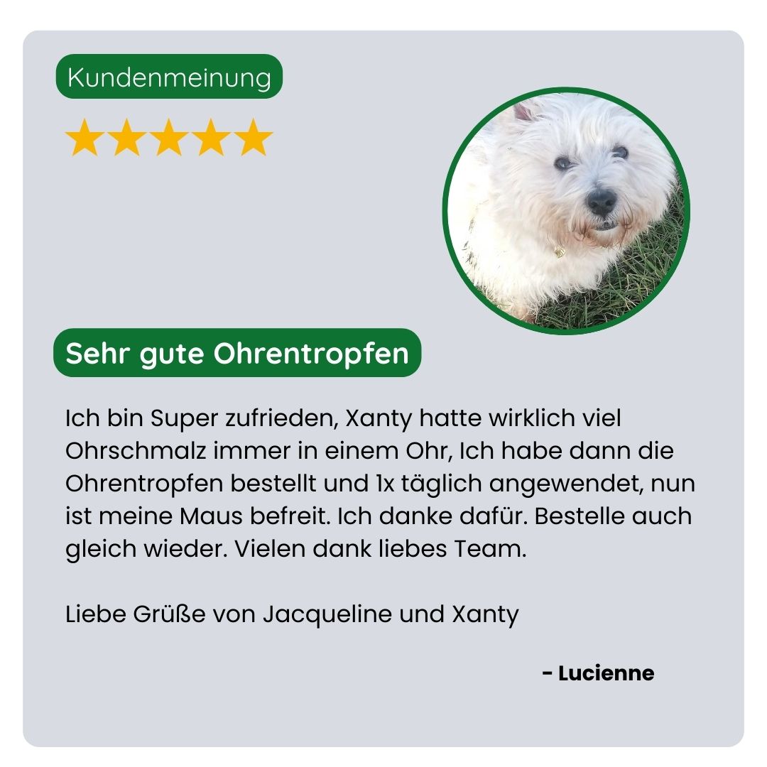 Zufriedene Kundin teilt ihre Erfahrung mit den TraumaPet Ohrentropfen, schnelle Linderung bei Rötungen und Reizungen in den Ohren von Hund Shanty.