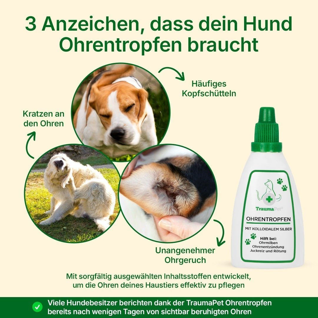 3 Anzeichen für Ohrprobleme beim Hund – Kopfschütteln, Kratzen und unangenehmer Ohrgeruch mit TraumaPet Ohrentropfen