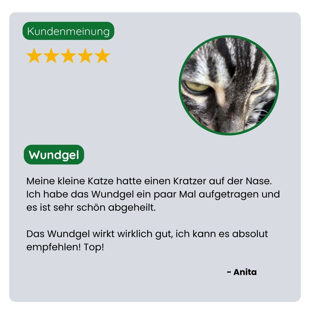 Kundin teilt ihre positive Erfahrung mit dem TraumaPet Wundgel, sichtbar schnellere Heilung kleiner Wunden sowie weniger Rötungen und Irritationen bei ihrem Haustier.