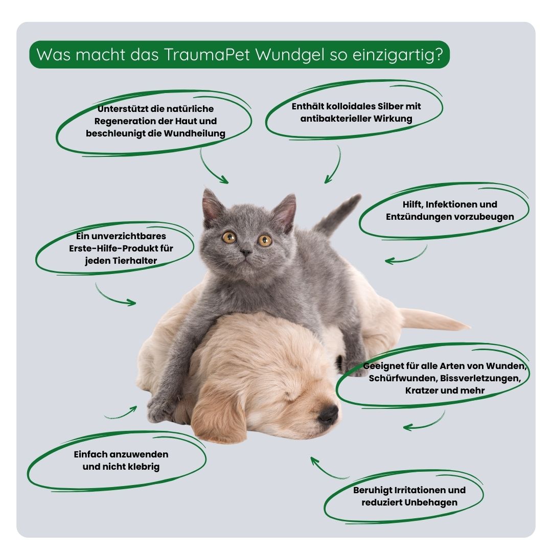 Übersicht der Vorteile des TraumaPet Wundgels: antibakterielle Wirkung, beschleunigt die Wundheilung, reduziert das Infektionsrisiko und beruhigt die Haut.