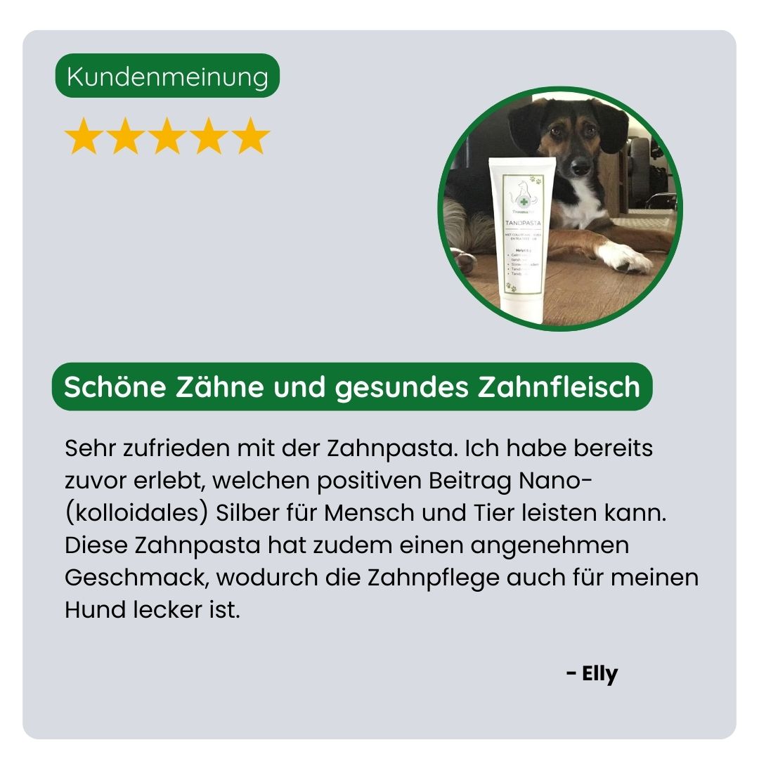 Kundin teilt ihre positive Erfahrung mit der TraumaPet Zahnpasta: weniger Zahnbelag, gesünderes Zahnfleisch und angenehmerer Atem bei ihrem Haustier.